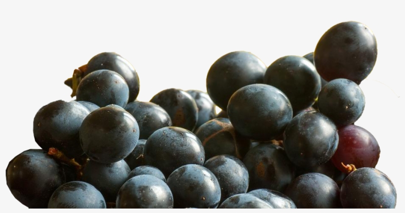 Seedless Fruit, transparent png #8040306