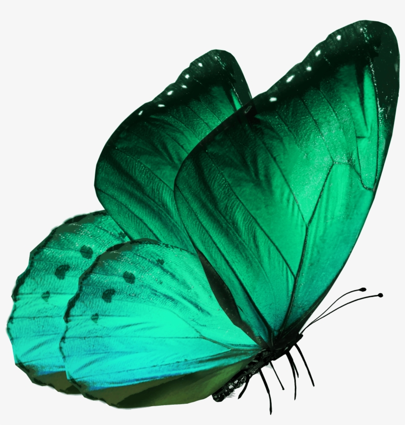 Transparent-butterfly - Borboleta Azul Png, transparent png #8041212