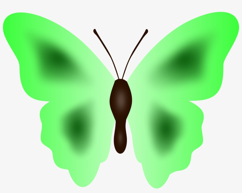 Big Image - Butterfly, transparent png #8041469