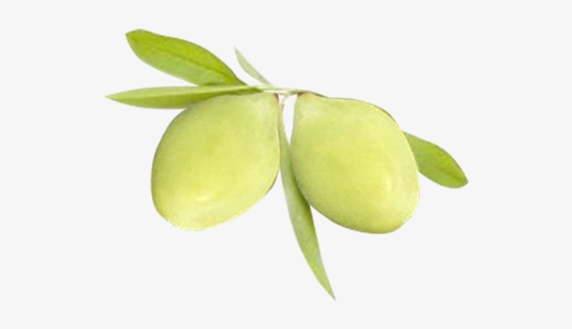 Kakadu Plum Png, transparent png #8042048