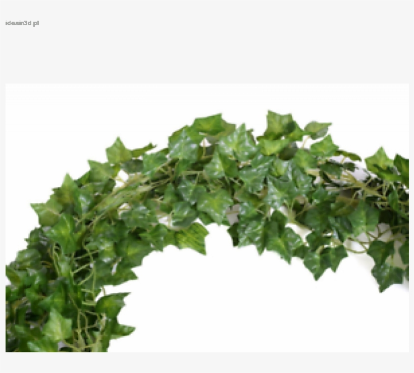 Oferta Specjalna 12 Big Value Artificial Hanging Plant - Wall, transparent png #8042607
