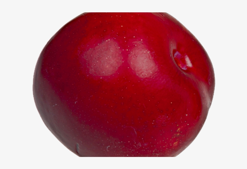 Seedless Fruit, transparent png #8043462