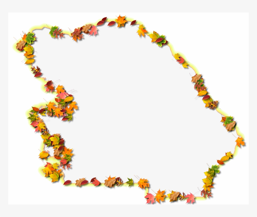 A Yellow And Orange Outline Map Of Citrus With Fall - Floral Design, transparent png #8043772