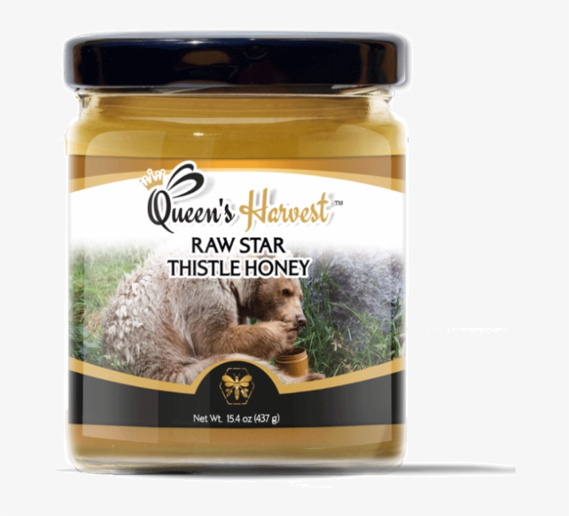 Related Products - Skunk, transparent png #8045133