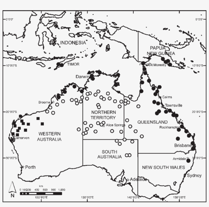 Distributions Of Cucumis Althaeoides - Indonesia, transparent png #8046427