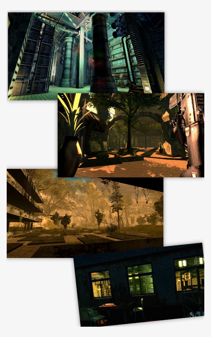 A C Y T H I A N - - Daylighting, transparent png #8046482