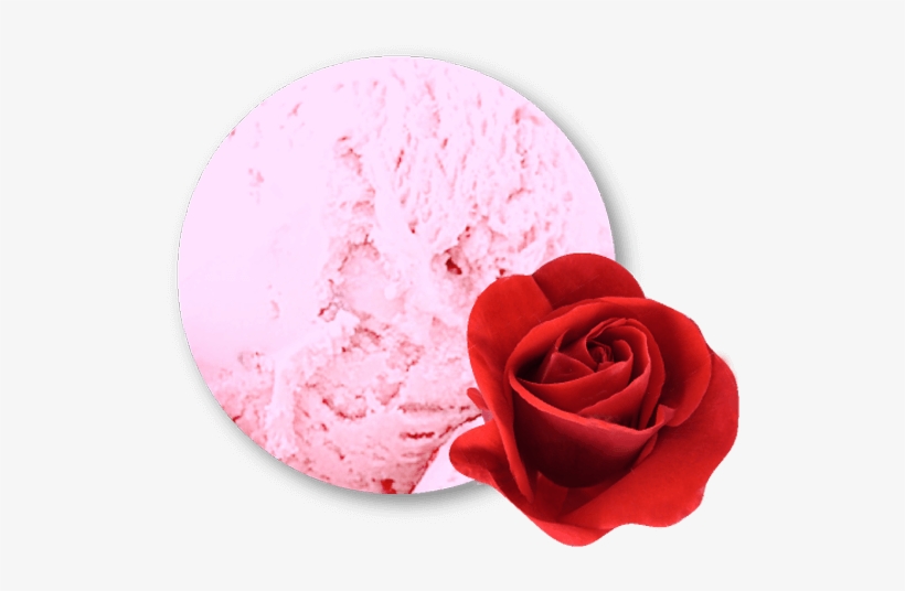 Sorbet Pètals De Rosa 4 Litres, transparent png #8046586