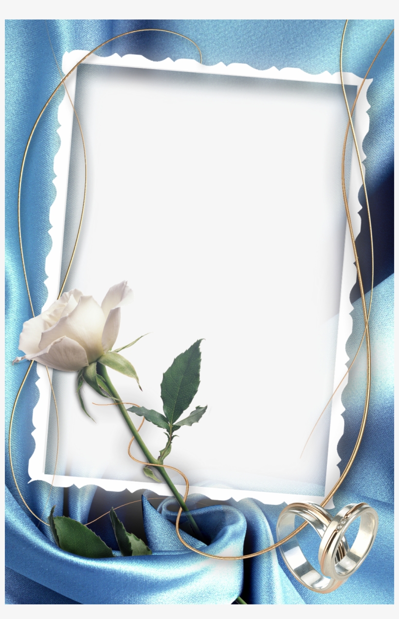 Marcos Para Fotos De Boda, Rosas Blancas, Alianza De - Rose, transparent png #8047049