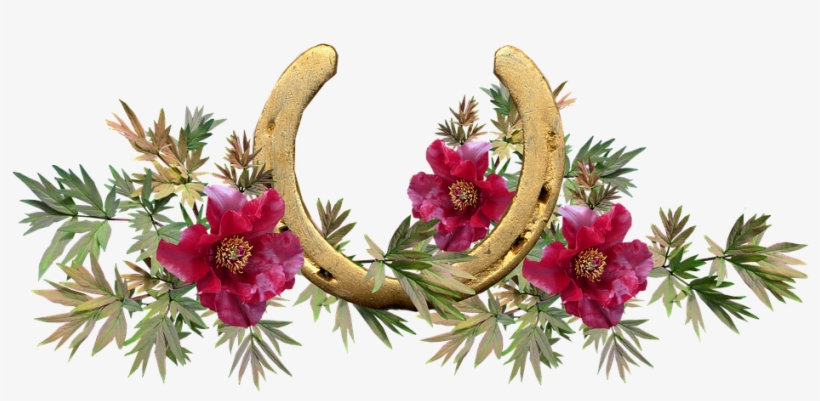 Horse Shoe, Lucky, Peony, Flowers - Herradura Con Flores Png, transparent png #8047599