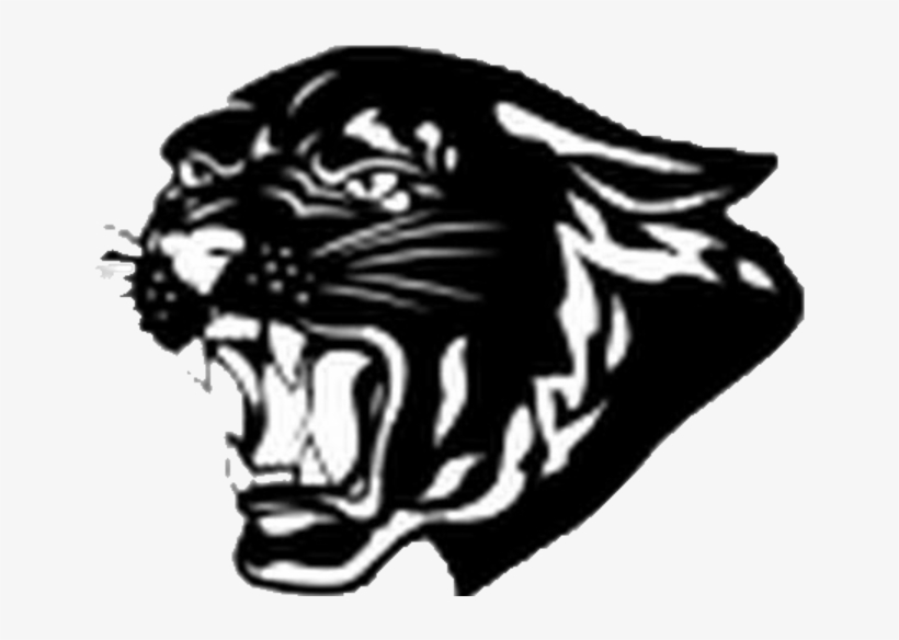 Picture Transparent Library Longhorn Drawing Iroquois - Milton High School Panther, transparent png #8047600