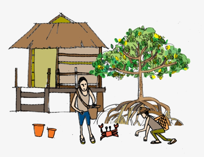 Watch This Video To See The Huge Benefits Mangrove - Illustration, transparent png #8047603
