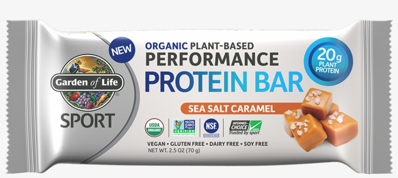 658010119085- - Garden Of Life Vegan Protein Bar, transparent png #8047761