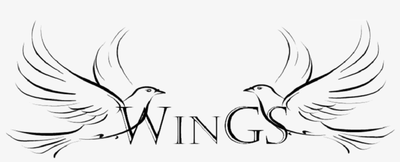 The Wings Women's Group Provides A Time For Sound Bible, transparent png #8047810