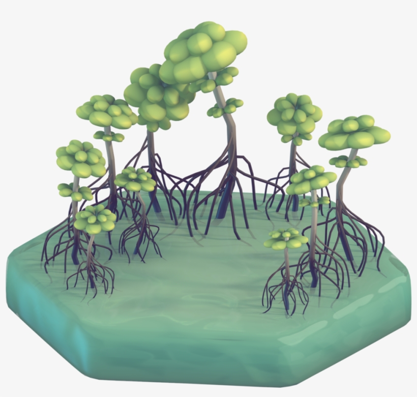 Have A Mangrove Swamp For Day 6 Making The Water Materials - Grass, transparent png #8047846