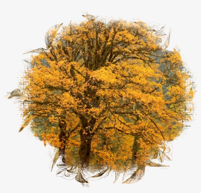 Ftestickers Sticker - Fall Backgrounds Nj, transparent png #8048260