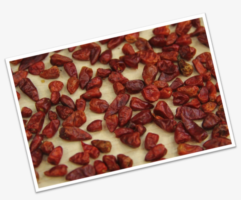 Raisin, transparent png #8048326