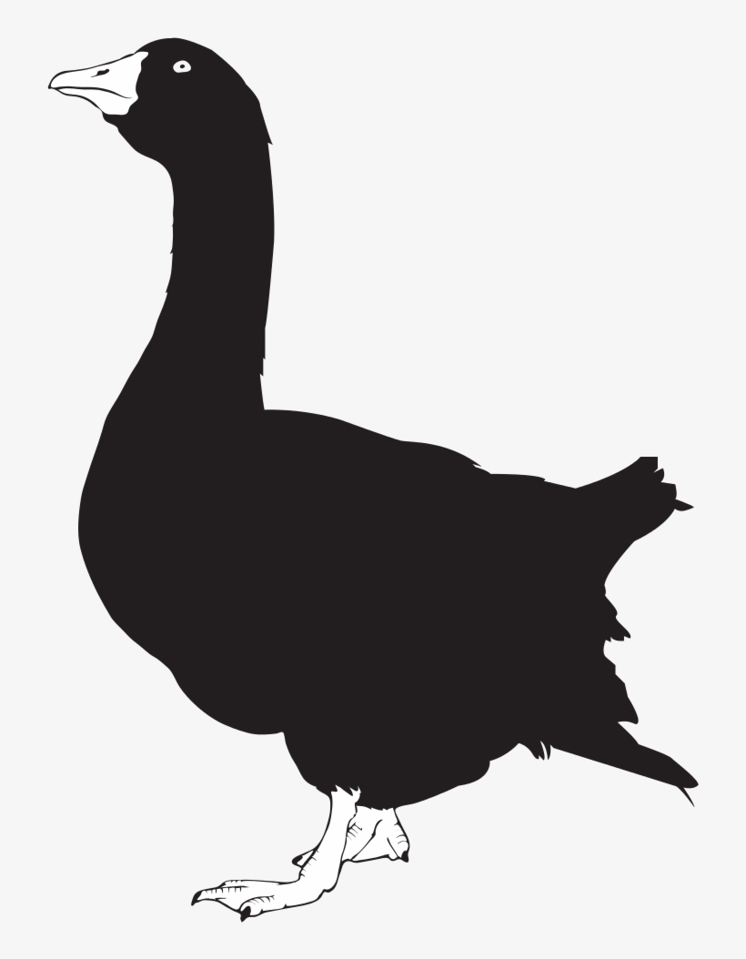 Goose Silhouette - Goose Silhouette Png, transparent png #8049201
