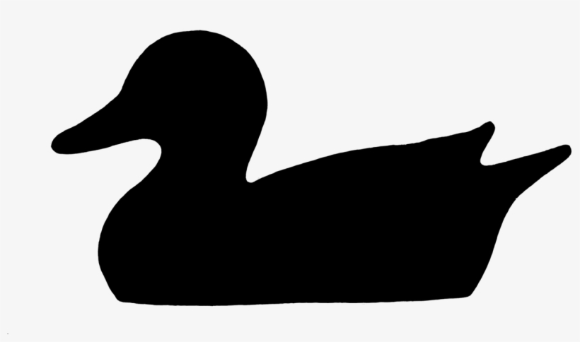 Duck Water Bird Silhouette - Duck, transparent png #8049306