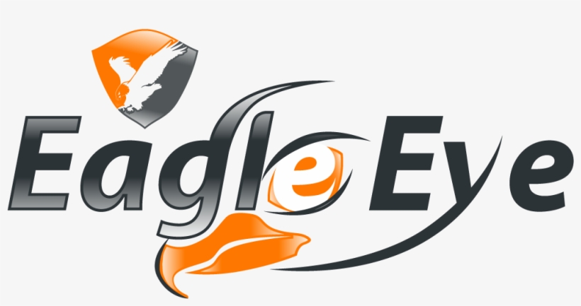 Eagle Eyes Logo - Eagle Eye, transparent png #8051084