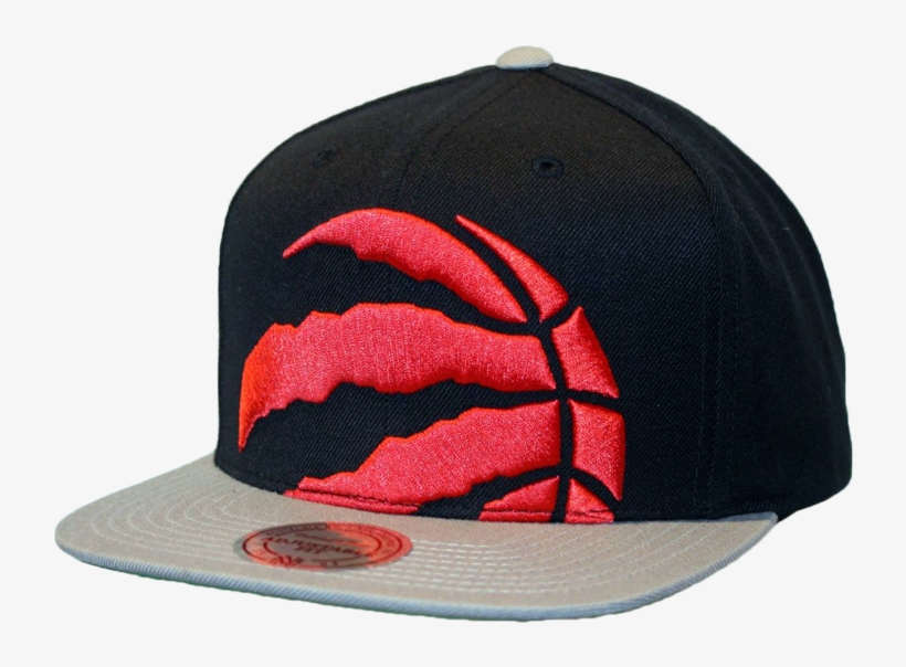 Toronto Raptors Xl Alternate Logo Snapback Hat - Baseball Cap, transparent png #8053074