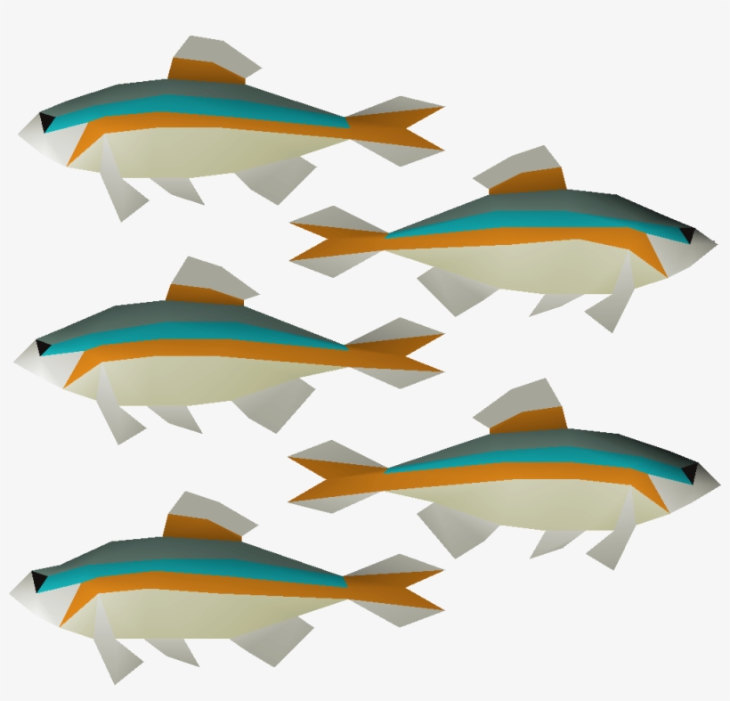 School Of Minnows Png, transparent png #8056612