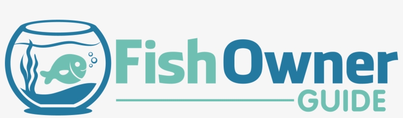 Fish Owner Guide - Graphic Design, transparent png #8056656
