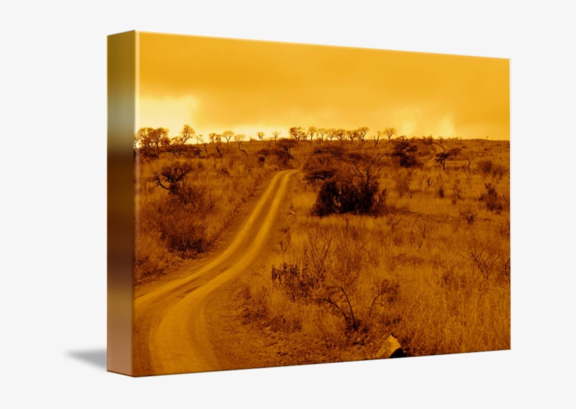 Dirt Road, transparent png #8057031