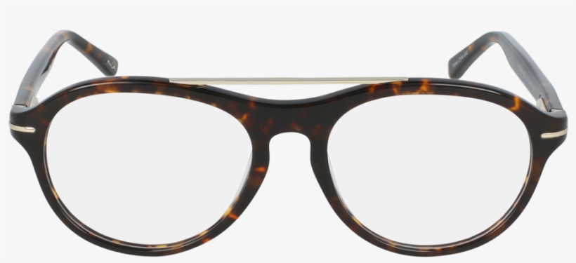Max Cole Mc Tortoise Transparent Background - Guess Okviri Za Naočale, transparent png #8057222