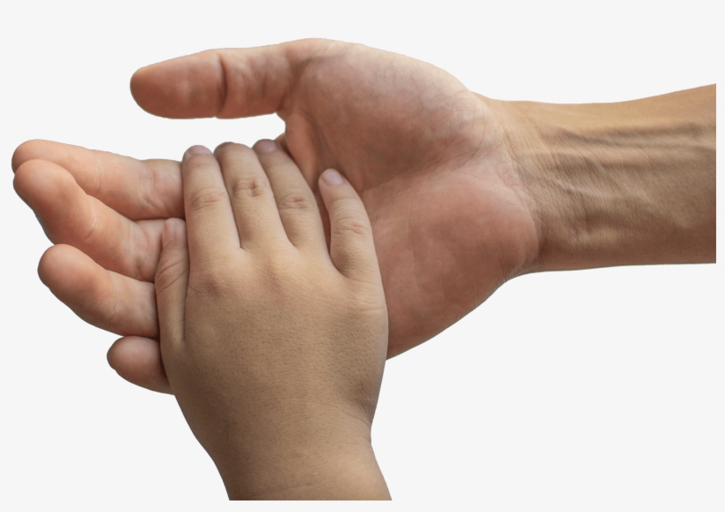 Categories - Maos De Criança, transparent png #8059961