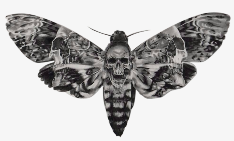 Atroposknife - Sphinx A Tete De Mort, transparent png #8059982