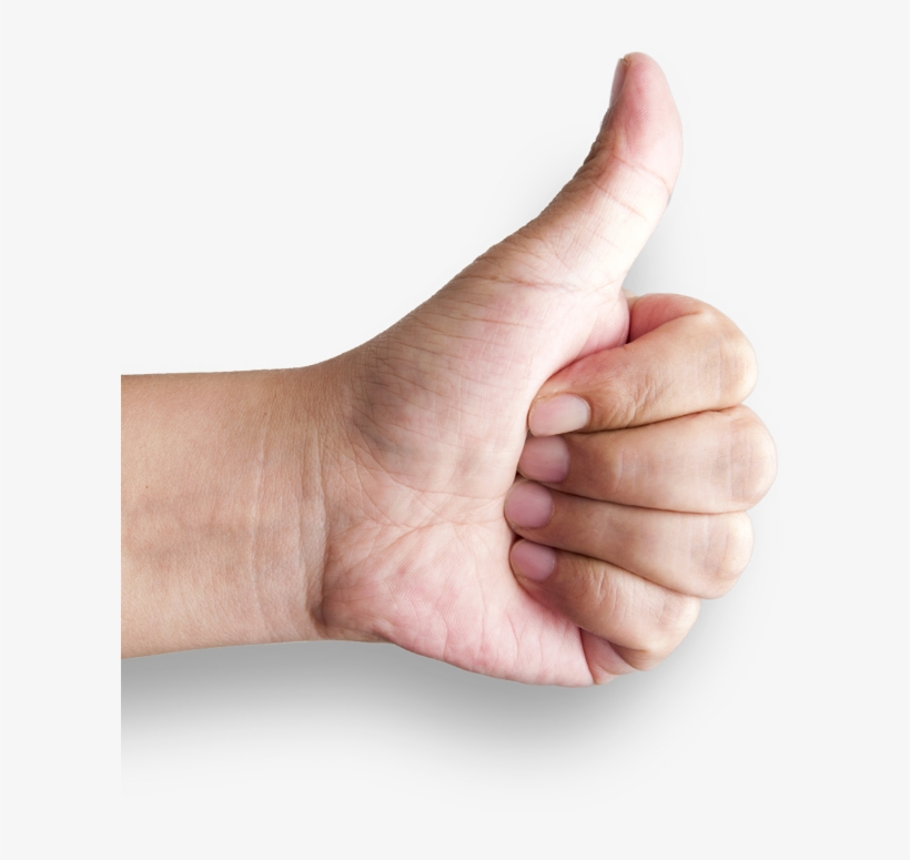 Register Now And Enjoy More Benefits - Sign, transparent png #8060186