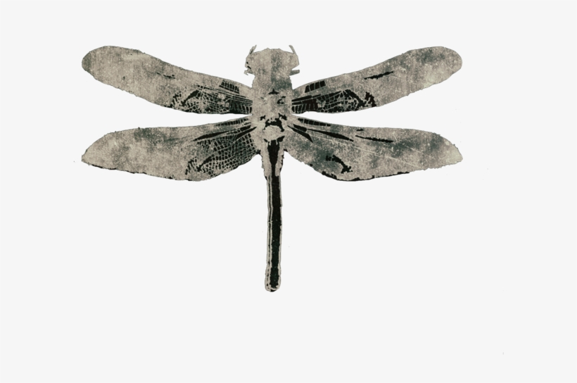 Dragonfly Cover Image For Website2, transparent png #8060491