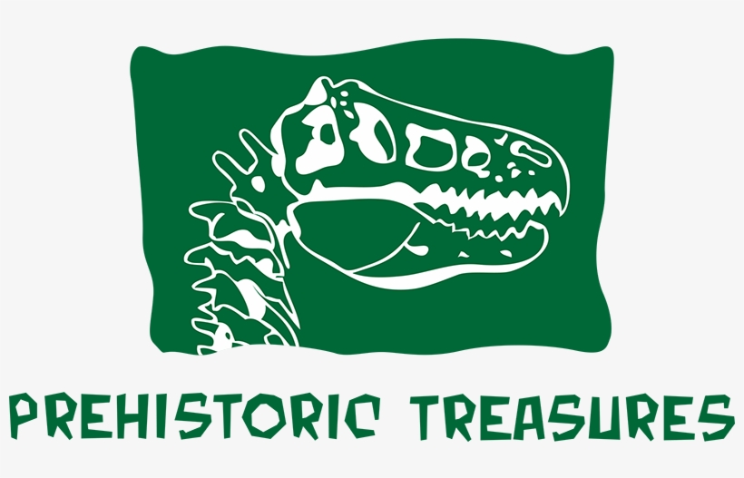 Skull, transparent png #8062620