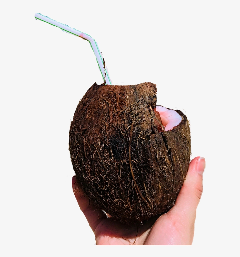 Report Abuse - Avocado, transparent png #8062878