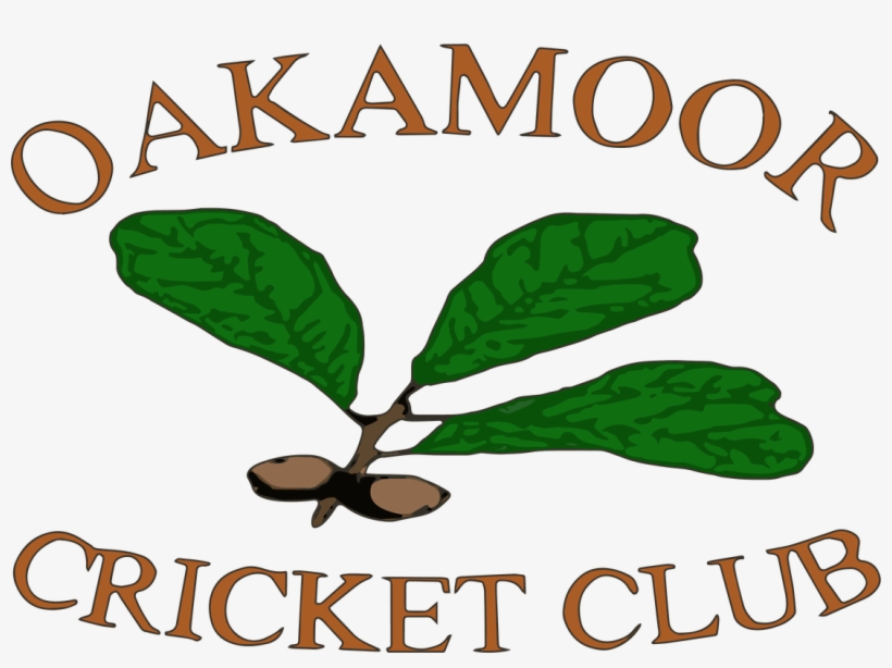 Ladies Softball, transparent png #8063280