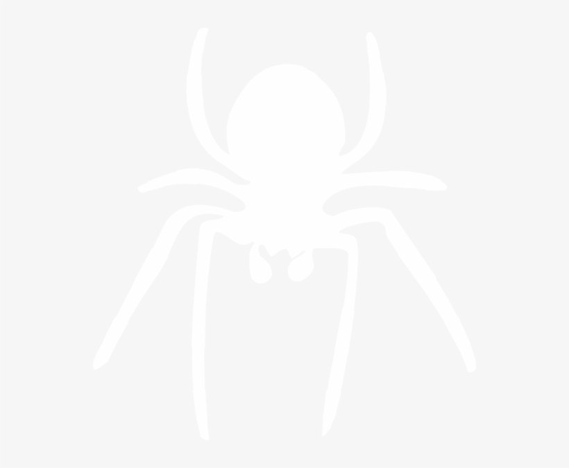 Spider Clipart Grey Spider - Insect, transparent png #8064156