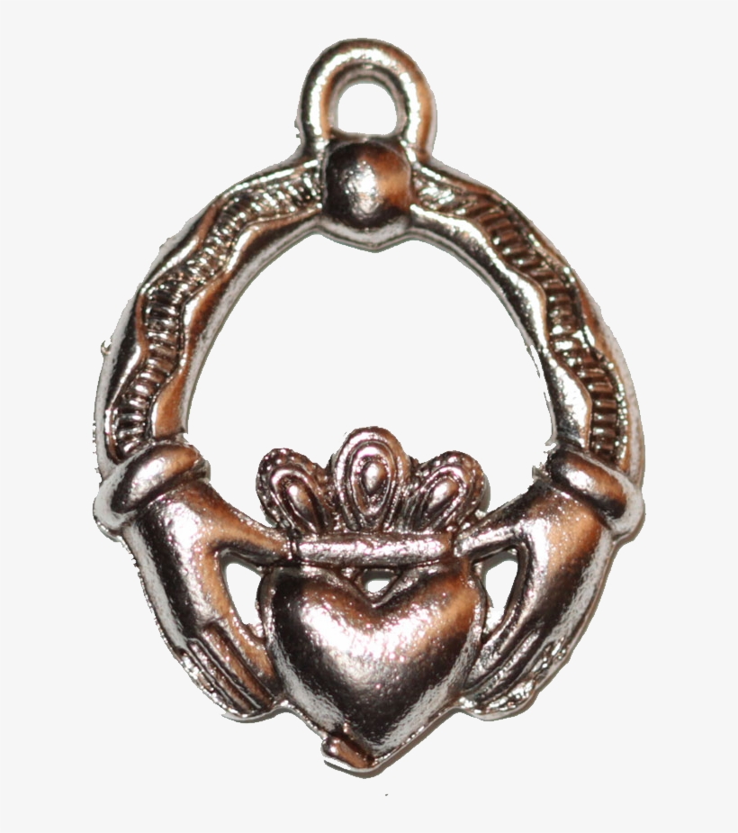 2 Hands Holding Heart - Insect, transparent png #8065542