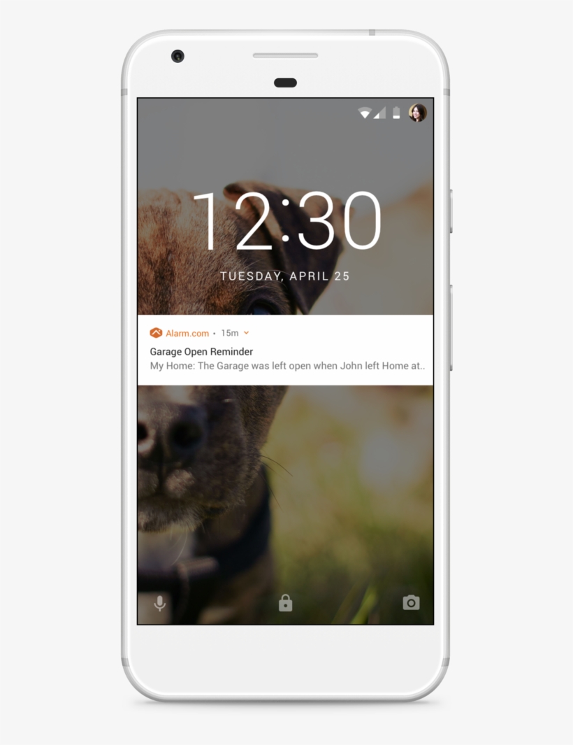 Access Control For Your Home - Meerkat, transparent png #8065570