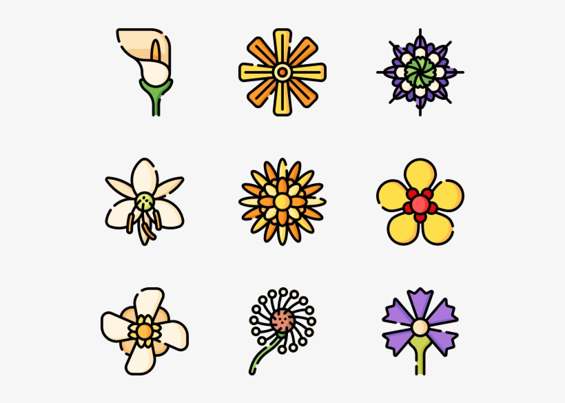 Flowers, transparent png #8065627