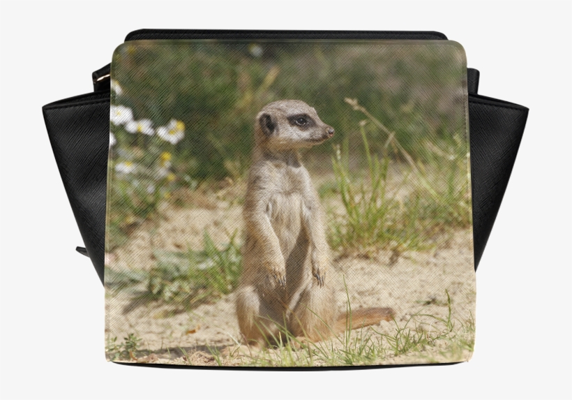 Rose Satchel Bag, transparent png #8065752