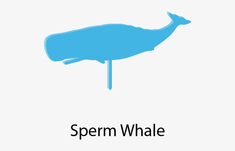 Sea Creatures Cake Toppers - Whale, transparent png #8066677