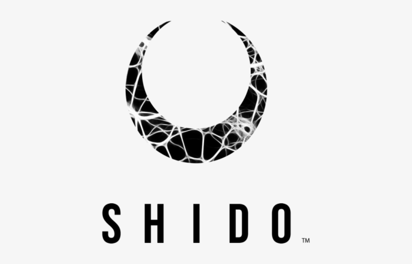 １．shidoプロトタイプをonkyo ティザー - Onkyo & Pioneer, transparent png #8067469