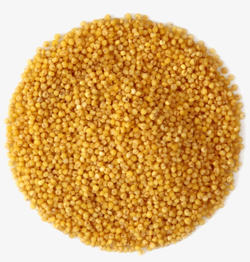 Small Pile Of Grain - Rapeseed, transparent png #8068781