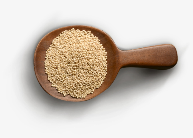 Protein Provides The Building Blocks For Bone, Muscle, - Pulse, transparent png #8068892