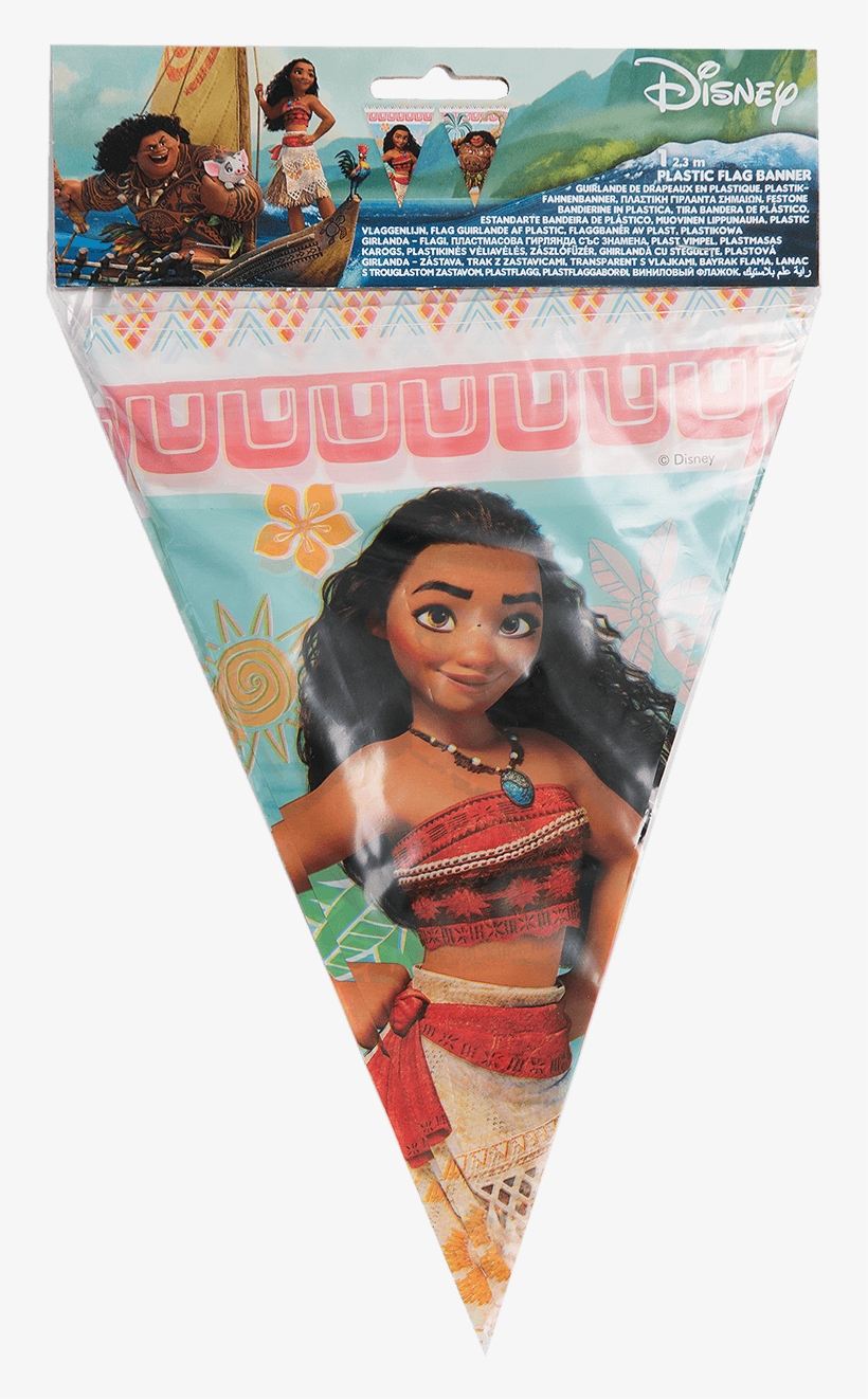 Moana Bunting - Banner, transparent png #8071195