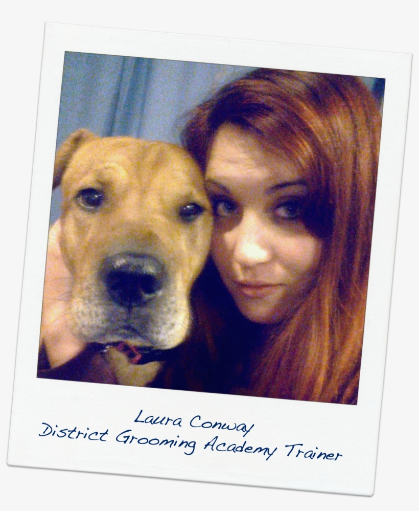 Laura Conway, District Academy Trainer - Companion Dog, transparent png #8071562
