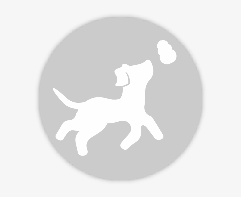 Kong Company - Ancient Dog Breeds, transparent png #8073104
