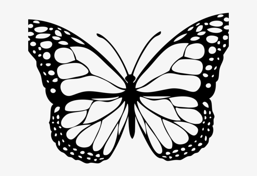 Monarch Butterfly Clipart Png Format - Butterflies Images To Colour, transparent png #8074135