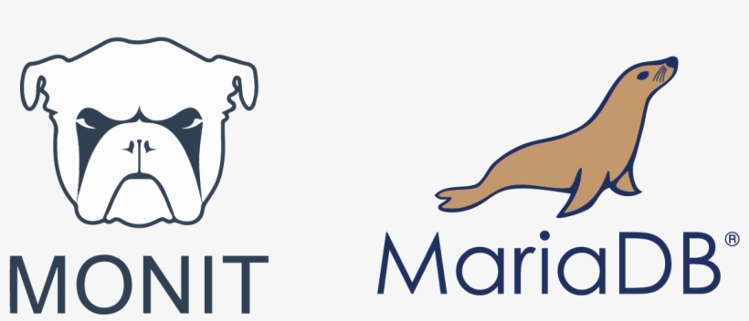Monit Can Be Used To Monitor Your Services On Your - California Sea Lion, transparent png #8074451