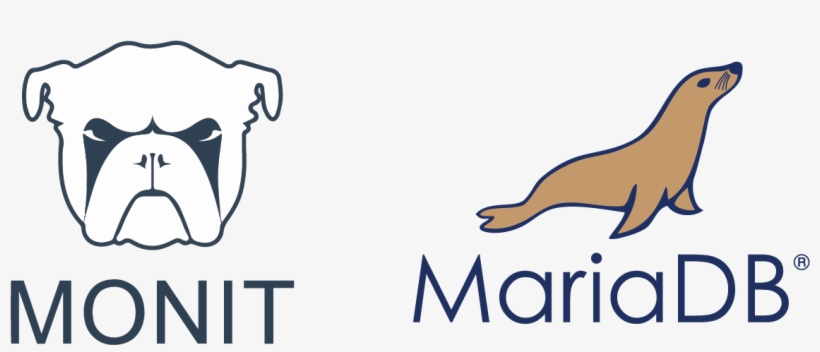 Monit Can Be Used To Monitor Your Services On Your - California Sea Lion, transparent png #8074451